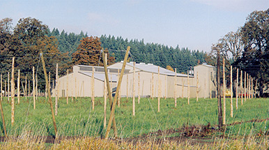 Hophouse and fields in winter